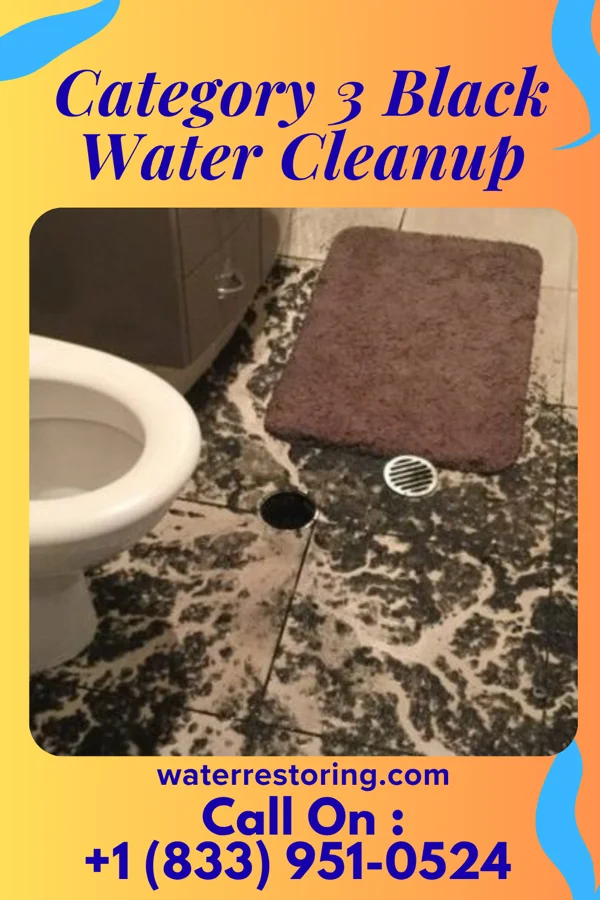 Category 3 Black Water Cleanup in Calhoun, KY